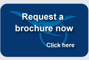 Brochure Request